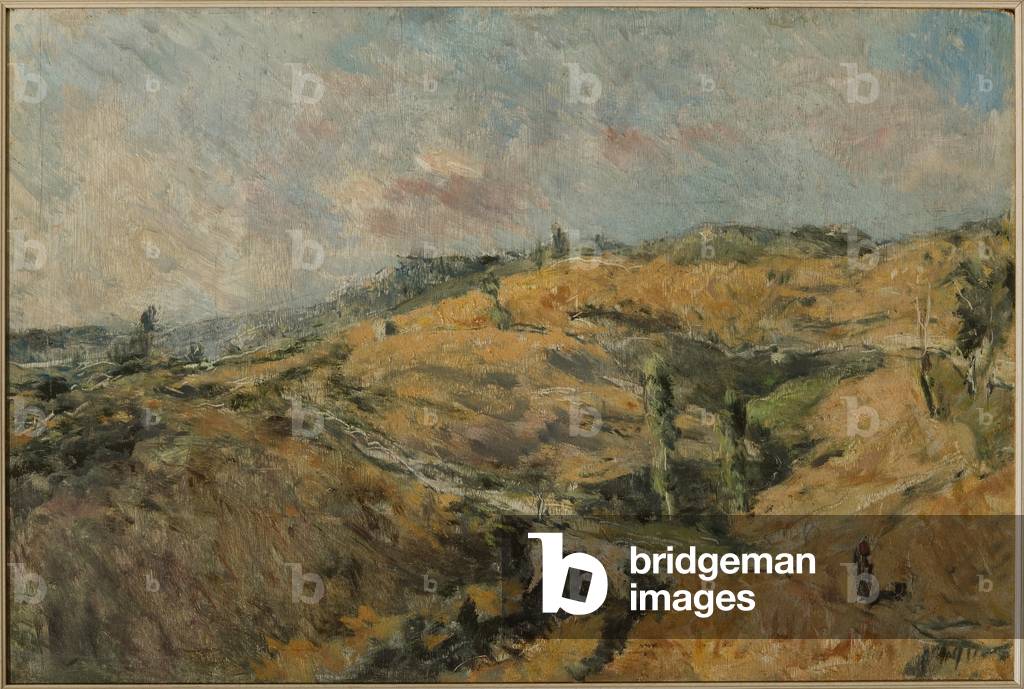 Tuscan Landscape - Le Caldire (oil on panel)