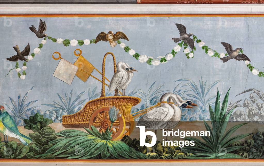 Swans and other birds, detail of 3743687 (fresco)
