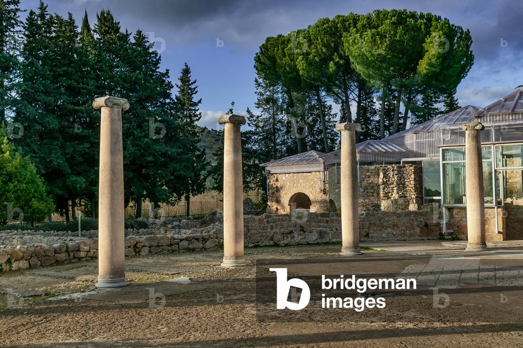 View of columns of the villa, Piazza Armerina, Roman Villa of Casale, Sicily, Italy (photo) (photo)