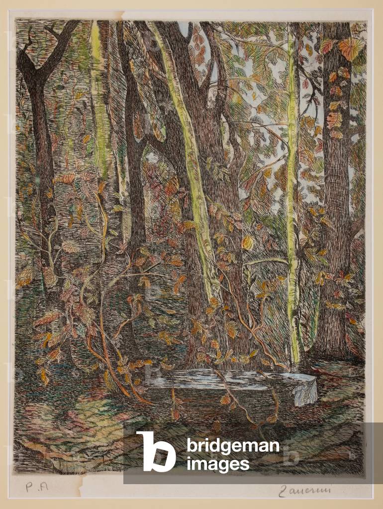 In the wood (coloured lithograph)
