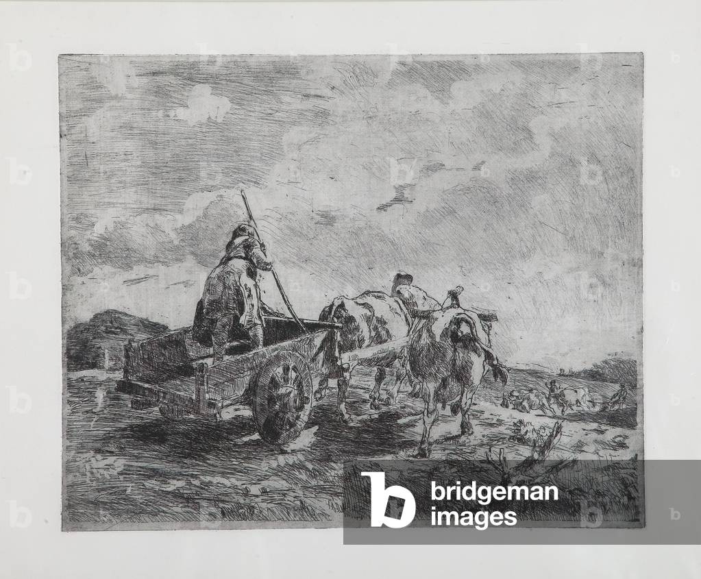 Cart with Oxen (etching and aquatint on paper, plate)