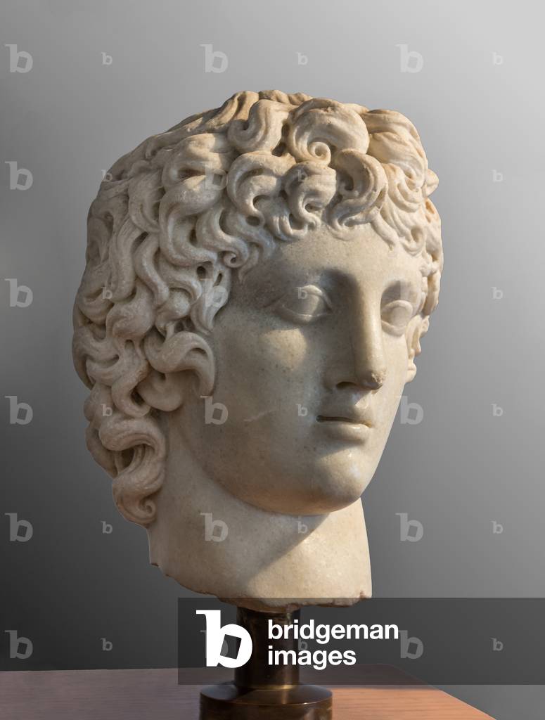 Head of young man