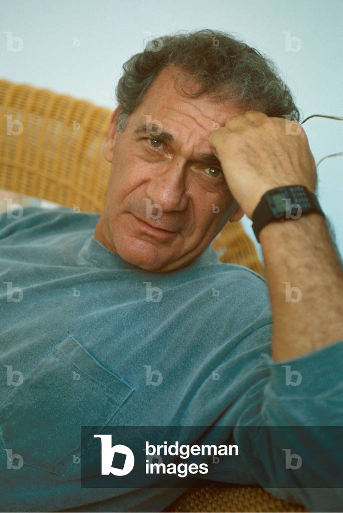 Bild von Fotografie "Der amerikanische Realisator Sidney Pollack im Jahr 1992"