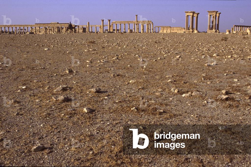 Colonnade seen from the desert, site of Palmyra, Syria.