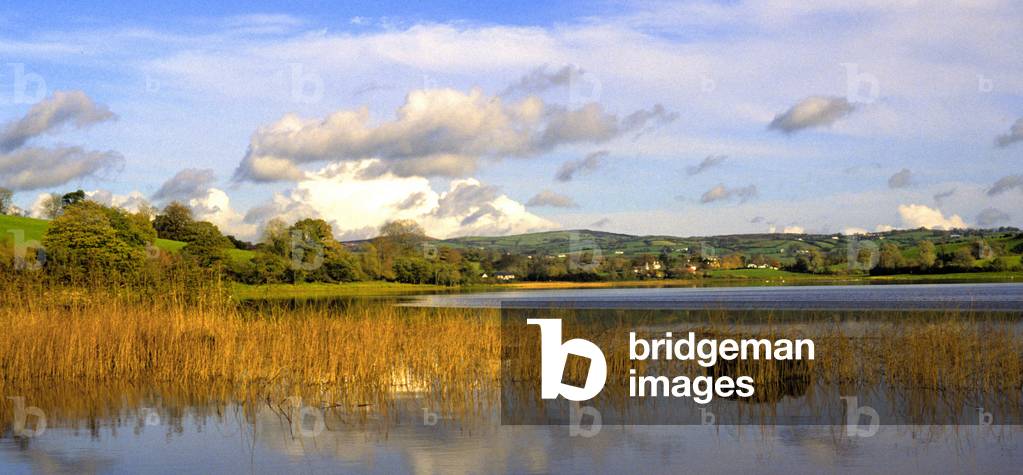 Northern Ireland: Shanon River