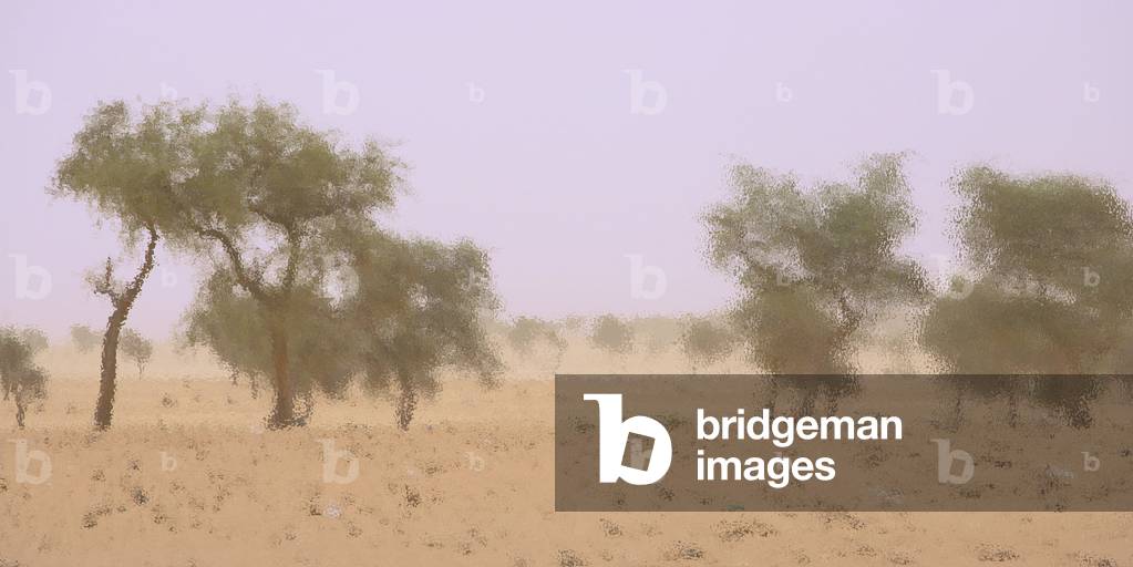 Senegal: Sandy wind