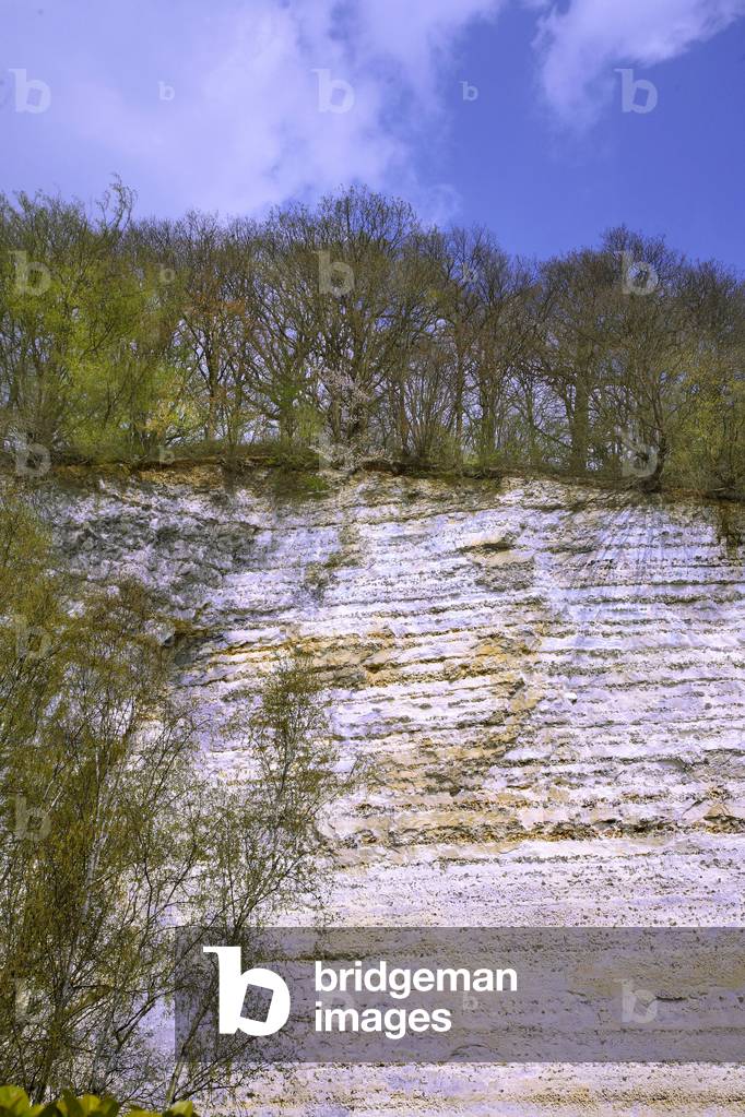 France - Seine Maritime - department 76 - Cliffs and strata between Duclair and Henouville