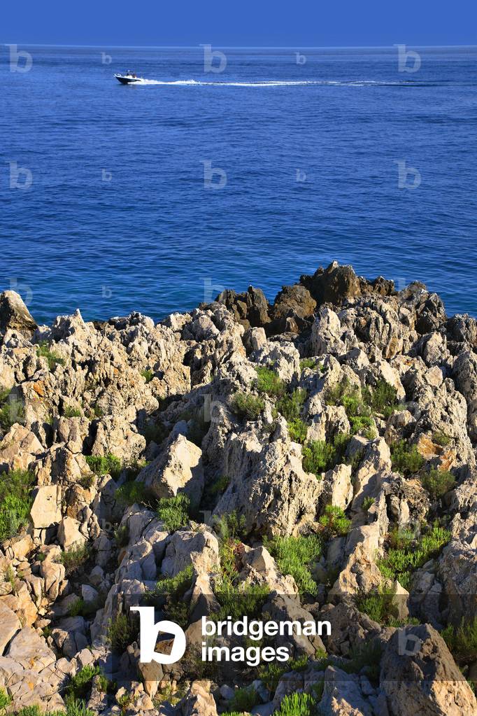 France-Alpes Maritimes - Mediterranean Sea in Cap Ferrat