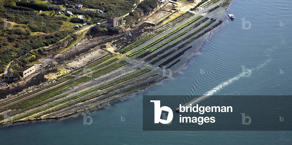 Brittany - Morbihan - department 56 - La Ria d'Etel