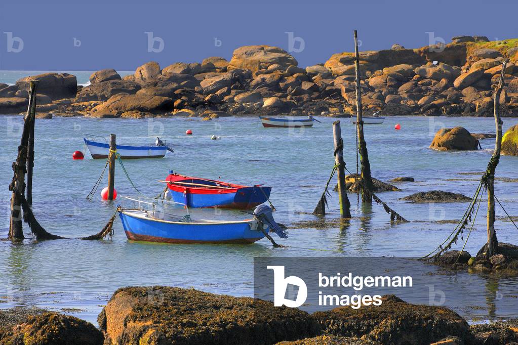 France - Finistere Nord - Port de Mazou