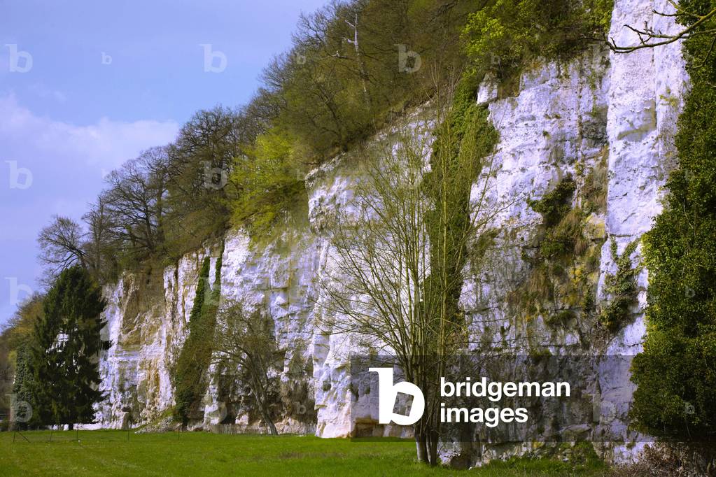 France - Seine Maritime - department 76 - Cliffs between Duclair and Henouville