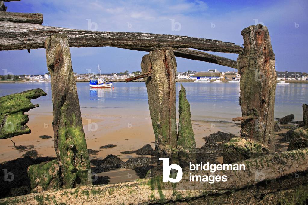 Brittany - Morbihan - department 56 - Ria d'Etel - Cemetery of tuna vessels - at the Magouer, opposite Etel