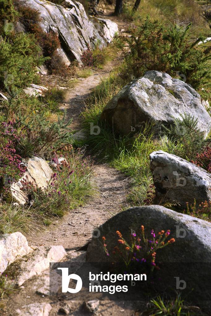 Brittany - Morbihan - department 56 - La Ria d'Etel - coastal path