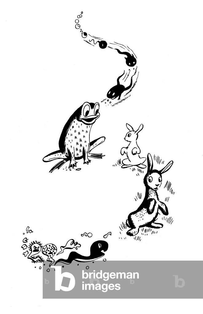 Illustration from 'The Truth about the Stork' by Edward F. Griffith, 1948 (litho)