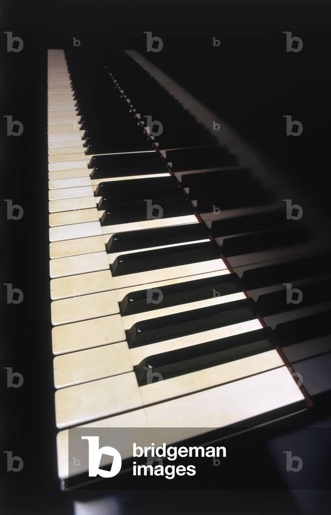 Piano keyboard / keys