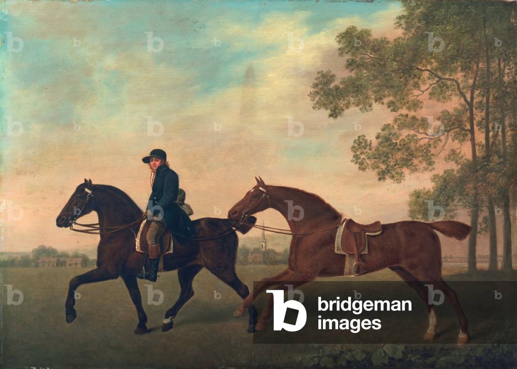 Bild von Gemälde "Zwei Hacks", 1789 von George Stubbs