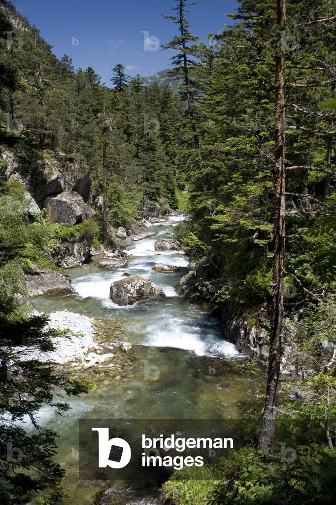Torrent/Gave de Marcadau/Pyrenees National Park/Hautes Pyrenees/Midi Pyrenees/France