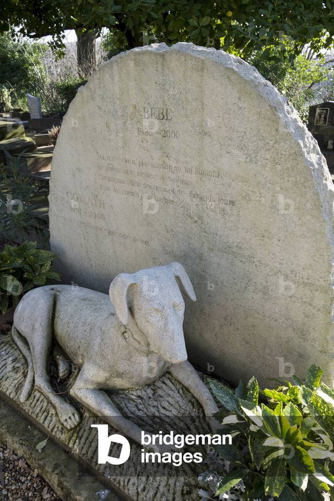 Cimetiere des chiens / Tombe de chien / Asnieres-sur-Seine / France 