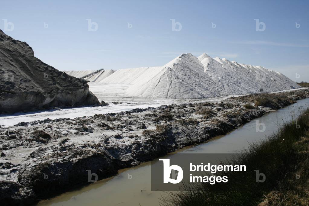 Salins de Giraud/Salt marshes/Port Saint-Louis du Rhone/Bouches du Rhone/Provence Alpes Cote d'Azur/France