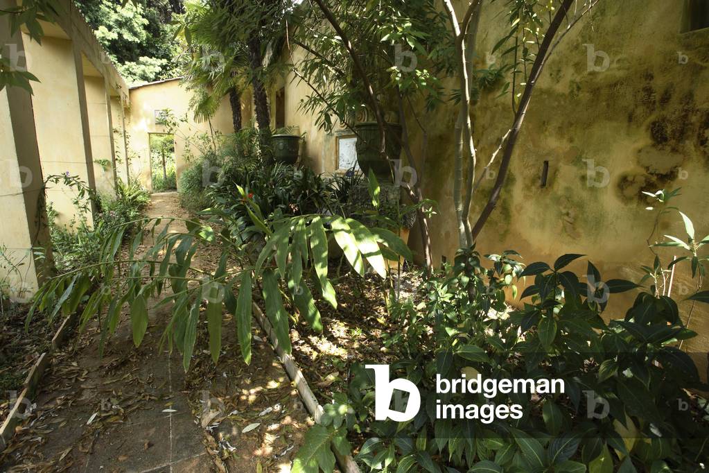 Garden Serre de la Madone/Cold greenhouse/Menton/Alpes Maritimes/Provence Alpes Cote d'Azur/France