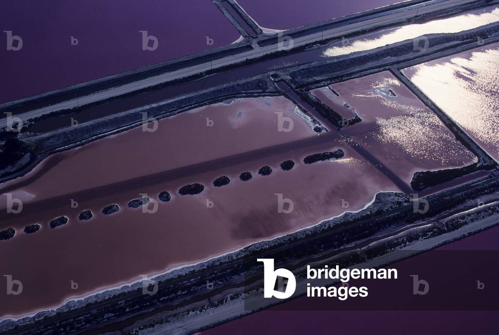 Salins de Giraud/Salt marshes/Port Saint-Louis du Rhone/Bouches du Rhone/Provence Alpes Cote d'Azur/France