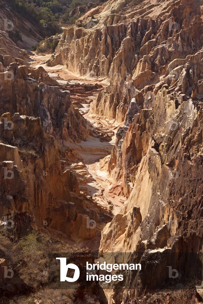 Canyon/Ankarafantsika National Reserve/Madagascar