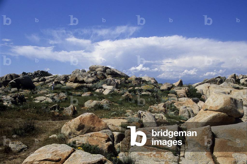 Lavezzi Islands/Corsica/France