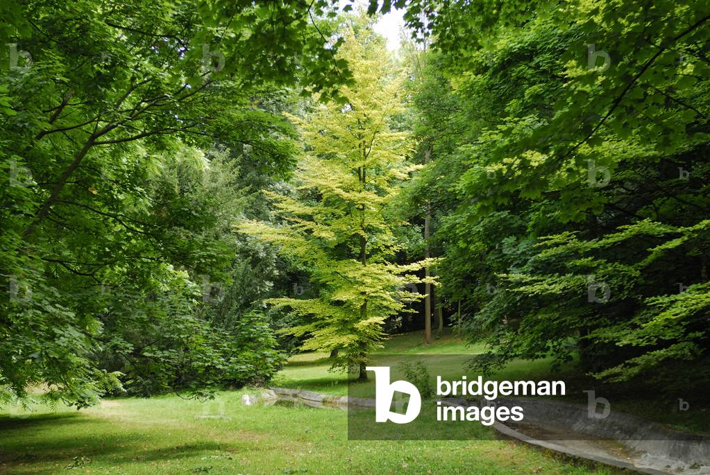 La Malmaison/Parc de Bois Preau/Mansion of Napoleon and Josephine de Beauharnais/Rueil Malmaison/Hauts de Seine/France