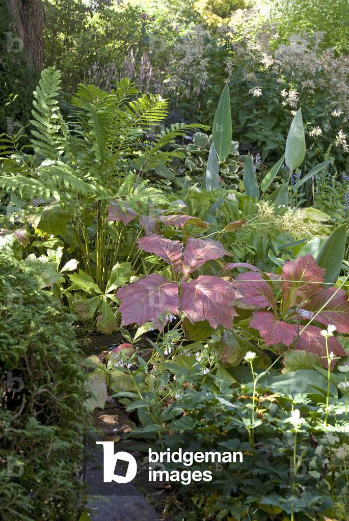 Les Jardins de Castillon Plantbessin/Castillon/Calvados/Lower Normandy/France