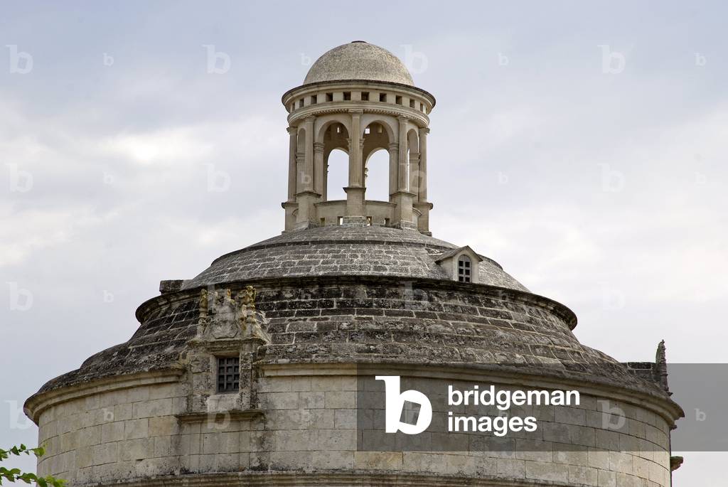 Montierneuf pigeonnier/Saint Agnant les Marais/Charente Maritime/Poitou Charentes/France