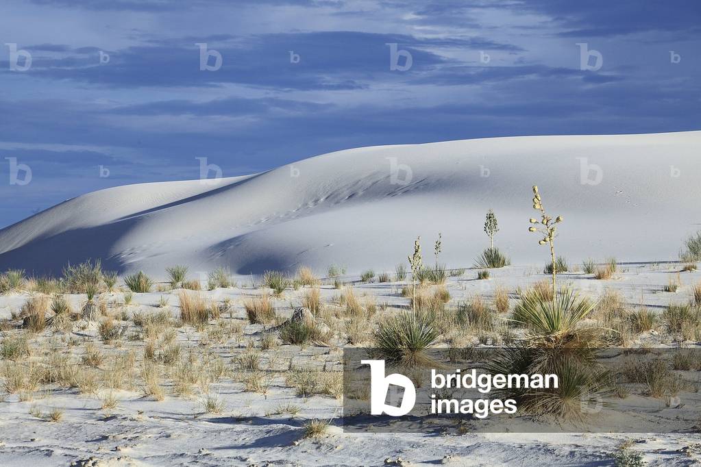 White Sands National Monument/Dunes and White Sand Desert/New Mexico/USA
