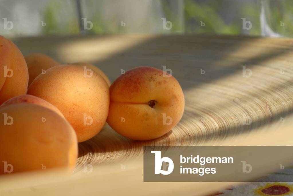 Prunus armeniaca/Apricot/Apricot