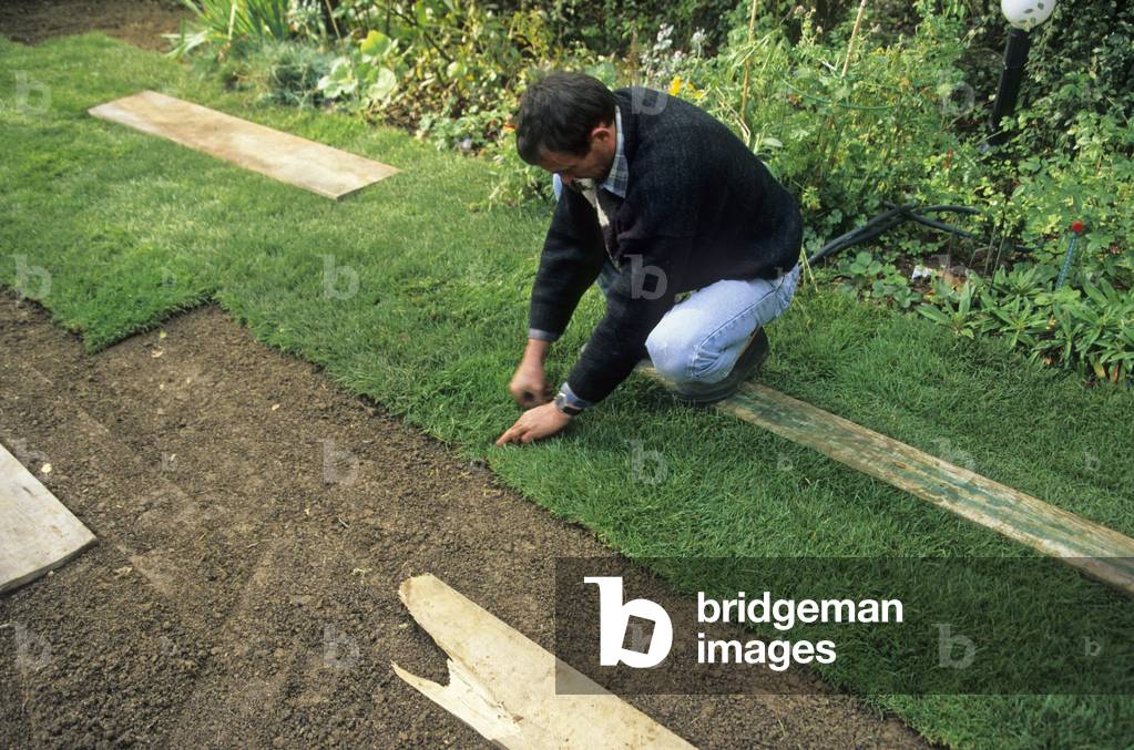 Plating turf/Roller turf