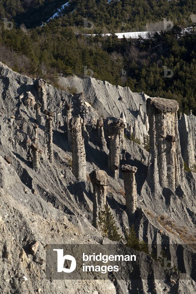 Ladies styled from Theus/Hautes Alpes/Provence Alpes Cote d'Azur/France
