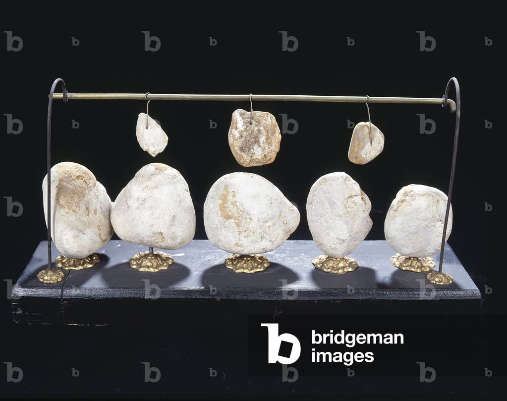 Musee Fragonard of the veterinary school of Maisons-Alfort/Monstruosite/Bowel stones/Val de Marne/Ile de France/France