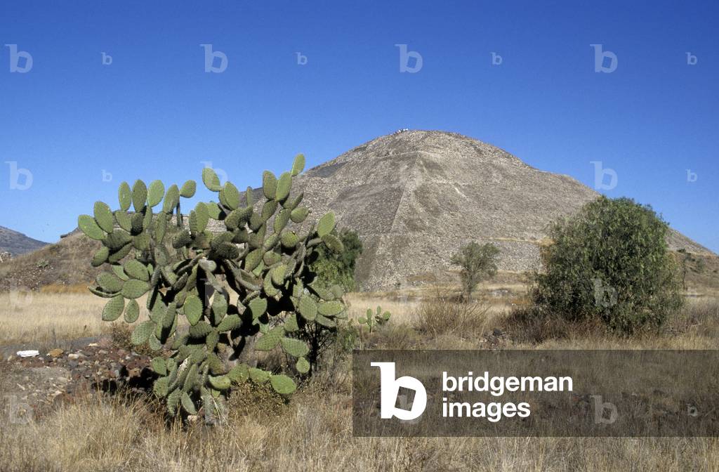 Theotihucan Pyramid/Mexico