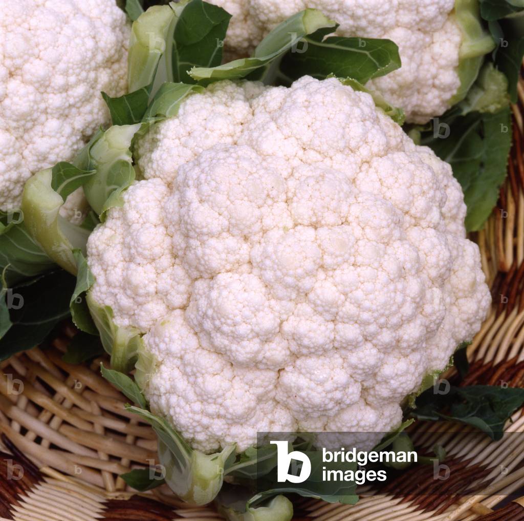 Brassica oleracea botrytis botrytis/Cabbage flower/Cauliflower