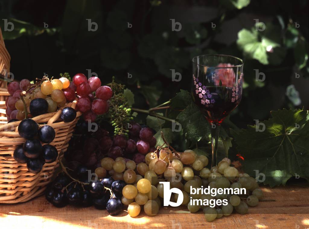 Grape/Wine