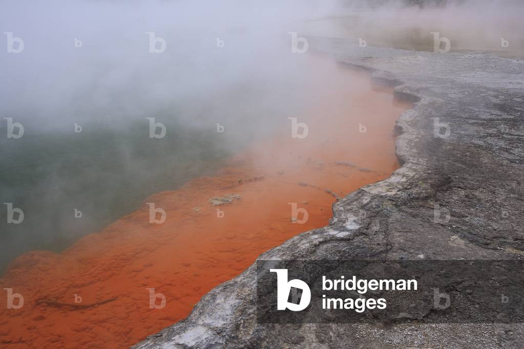 The Champagne Pool/Wai-O-Tapu Thermal Wonderland/New Zealand/Rotorua Region/North Island