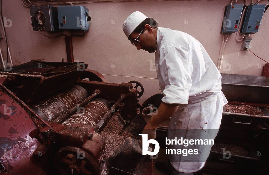 Chocolate/Theobroma cocoa/Cacaoyer/Bernachon/Lyon/Grinder