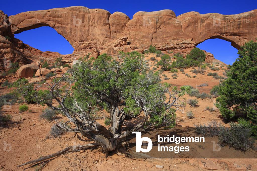 South Window and North Window/Arch National Park/Utah/USA