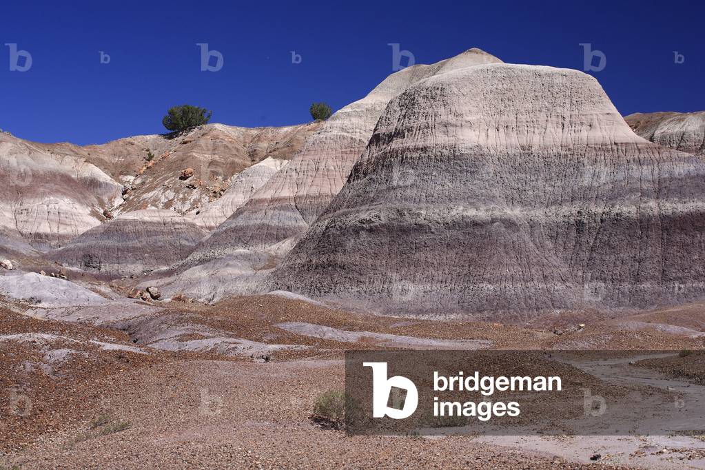 Blue Mesa/Petrifiee Forest/Petrified Forest National Park/Arizona/USA