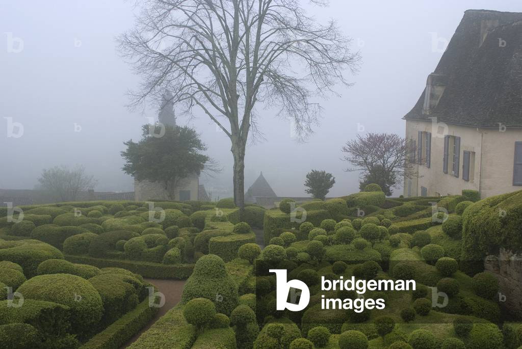 Hanging gardens of the castle of Marqueyssac/Buxus sempervirens/Boxwood/Dordogne/Aquitaine/France