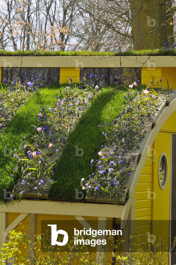 Garden cabin/Vegetable roof/Muscari/Tulip/Foam