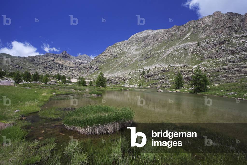 Mercantour National Park/Long Lake/Maritime Alps/Provence Alpes Cote d'Azur/France