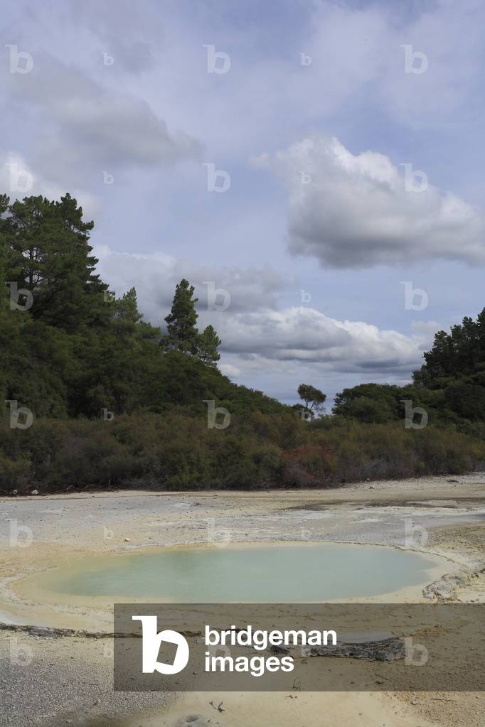 Sulphur Basin named Oyster Pool, because of its shape/Reserve Thermal Wai-O Tapu/Wai-O-Tapu Thermal Wonderland/New Zealand/North Island.