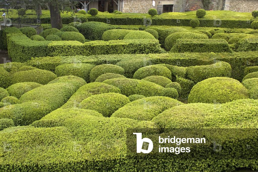 Hanging gardens of the castle of Marqueyssac/Buxus sempervirens/Boxwood/Dordogne/Aquitaine/France