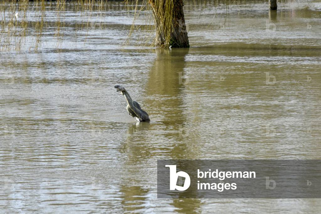 Sirene Evila/Oise Flood/Flood/L'Isle-Adam/Val d'Oise/Ile-de-France