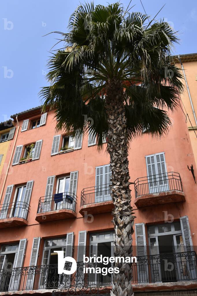 Grasse, Alpes-Maritimes (photo)