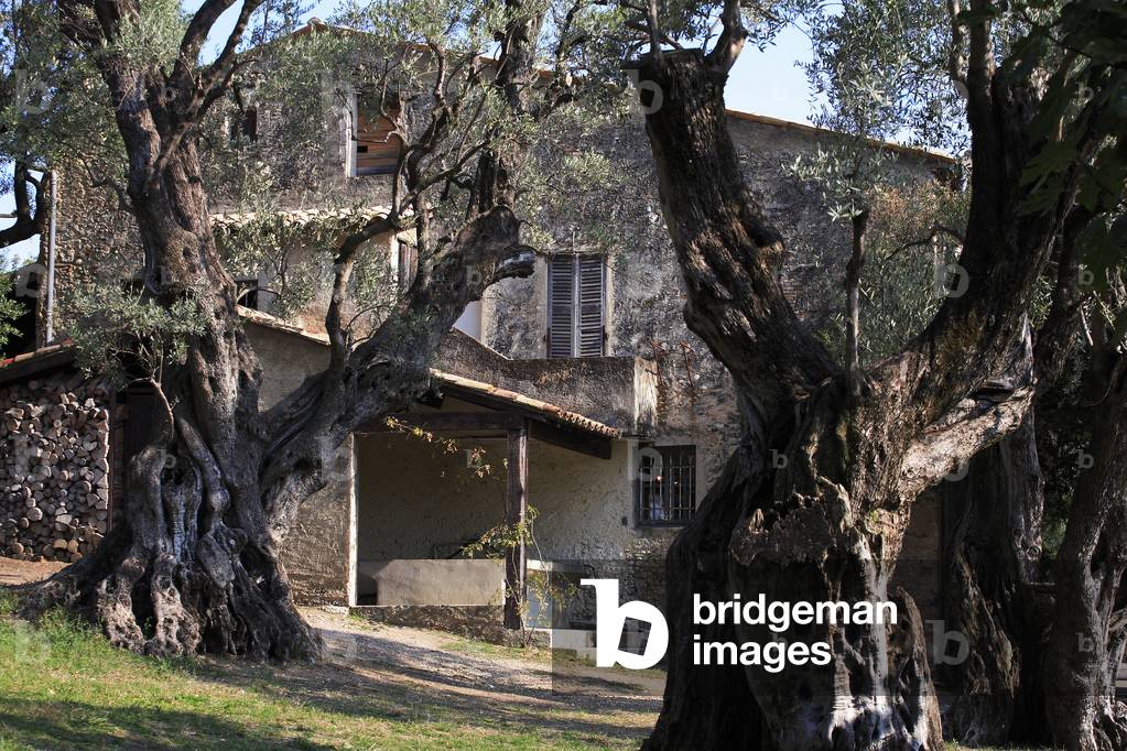 Last residence of Auguste Renoir/Domaine des Collettes/Musee Renoir/Cagnes sur Mer/Alpes Maritimes/Provence Alpes Cote d'Azur/France